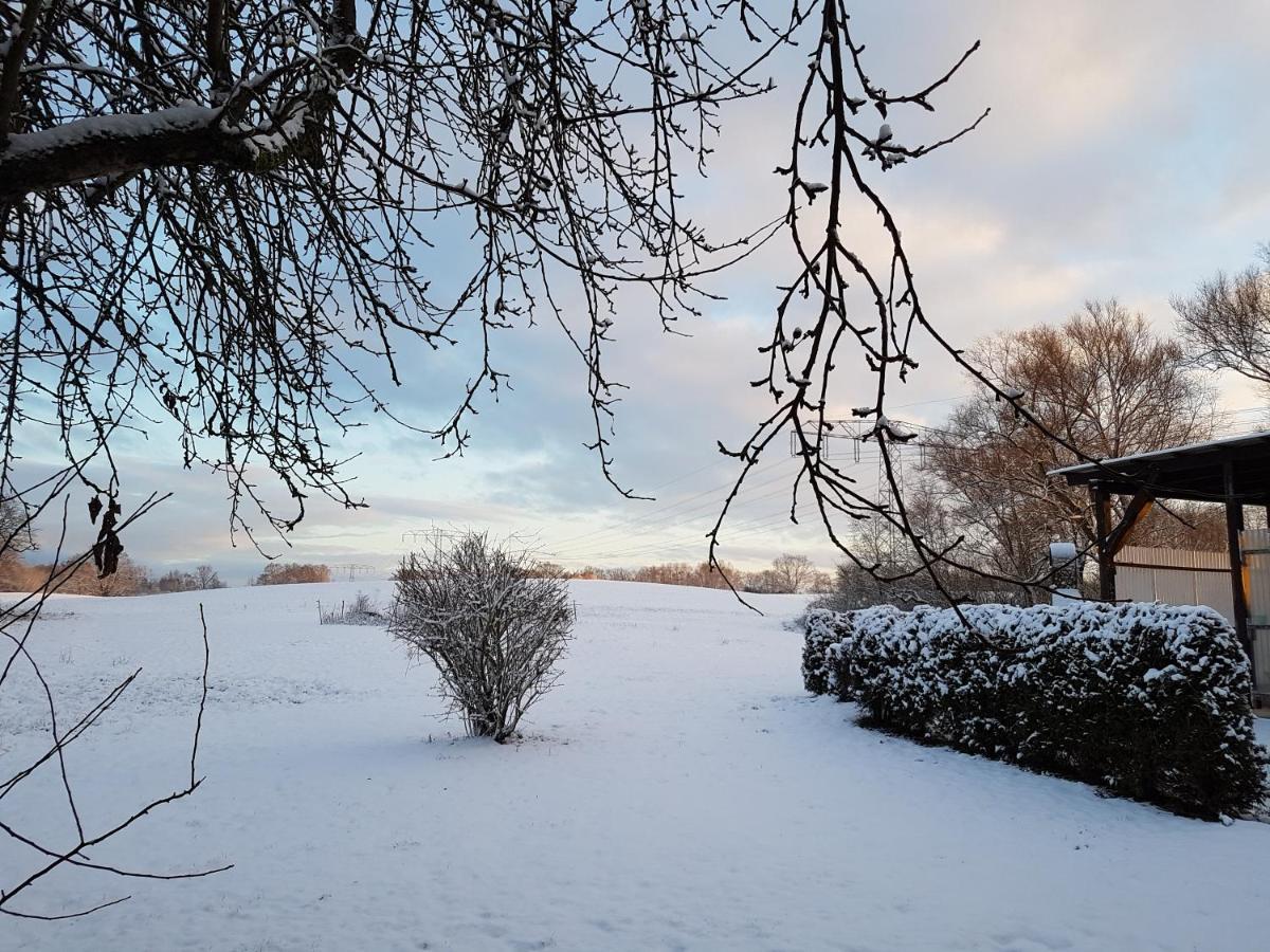 Landpension Zum Schweizerberg Neugrimnitz Dış mekan fotoğraf