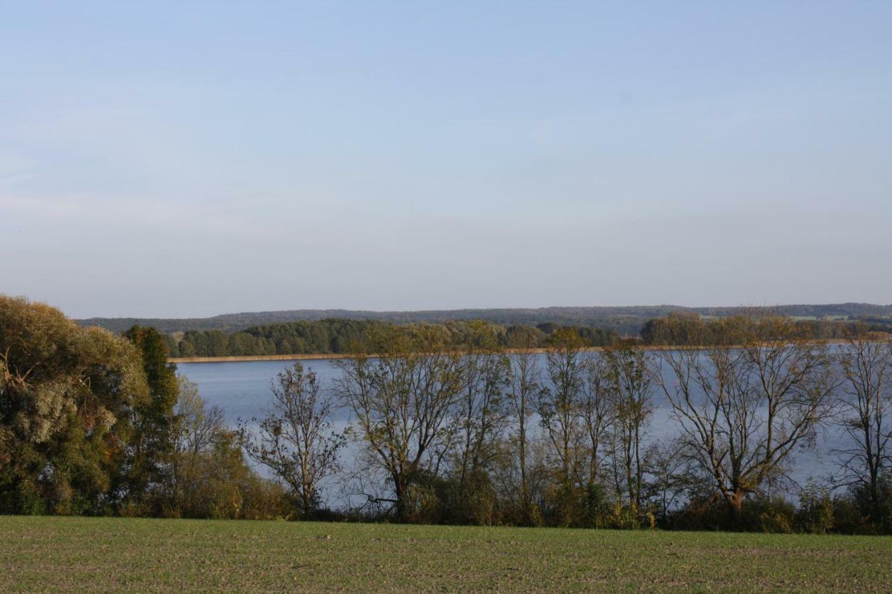 Landpension Zum Schweizerberg Neugrimnitz Dış mekan fotoğraf