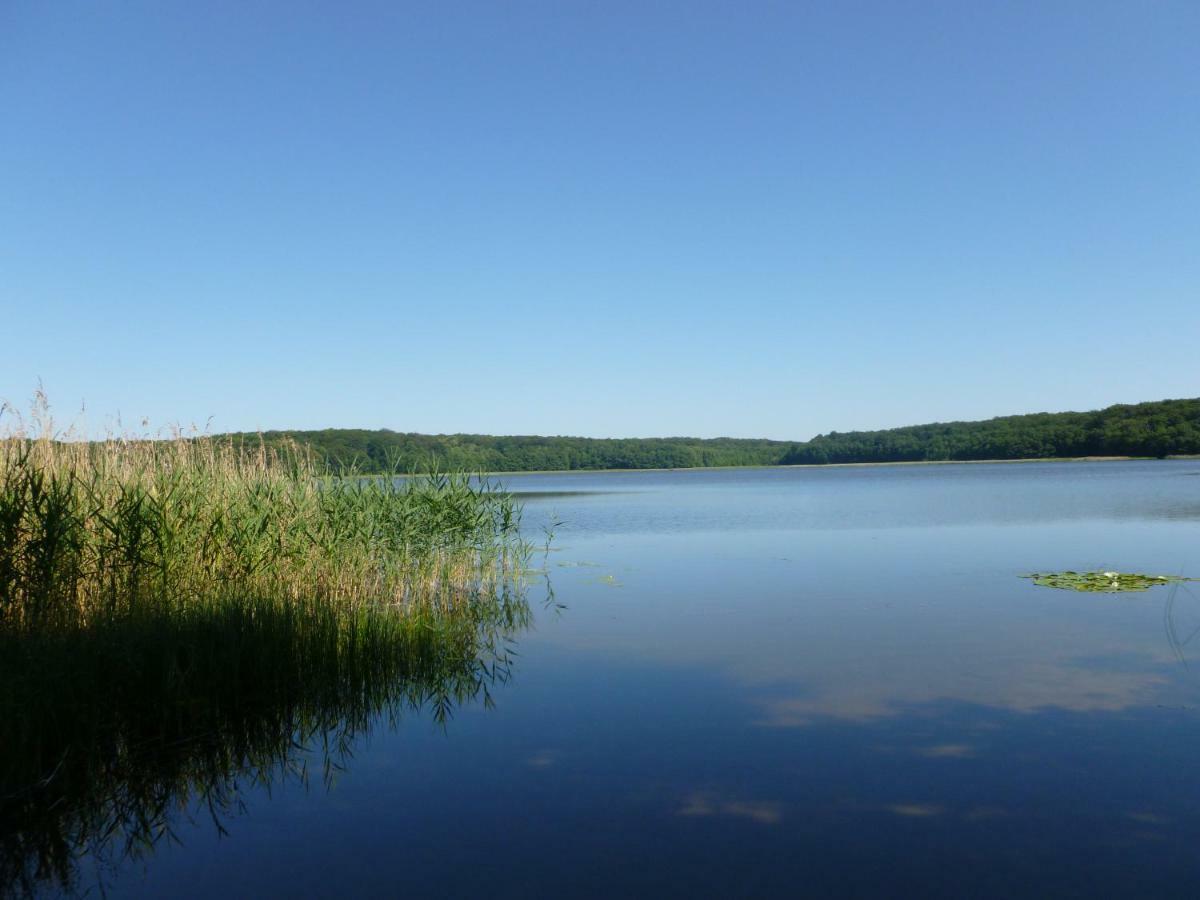 Landpension Zum Schweizerberg Neugrimnitz Dış mekan fotoğraf